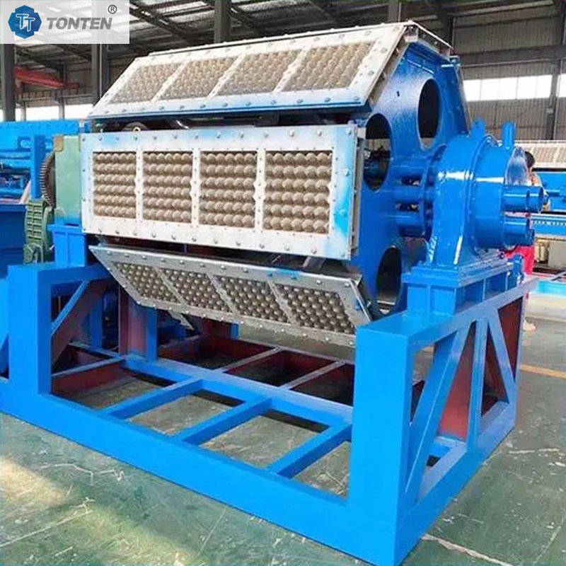 Egg Tray Making Machine Price Pulp Molding Tray Making Machine Manufacturer