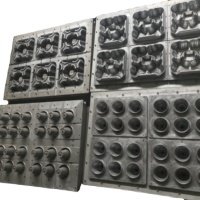 Shoe tray making molds/Shoe stretcher paper pulp moulding