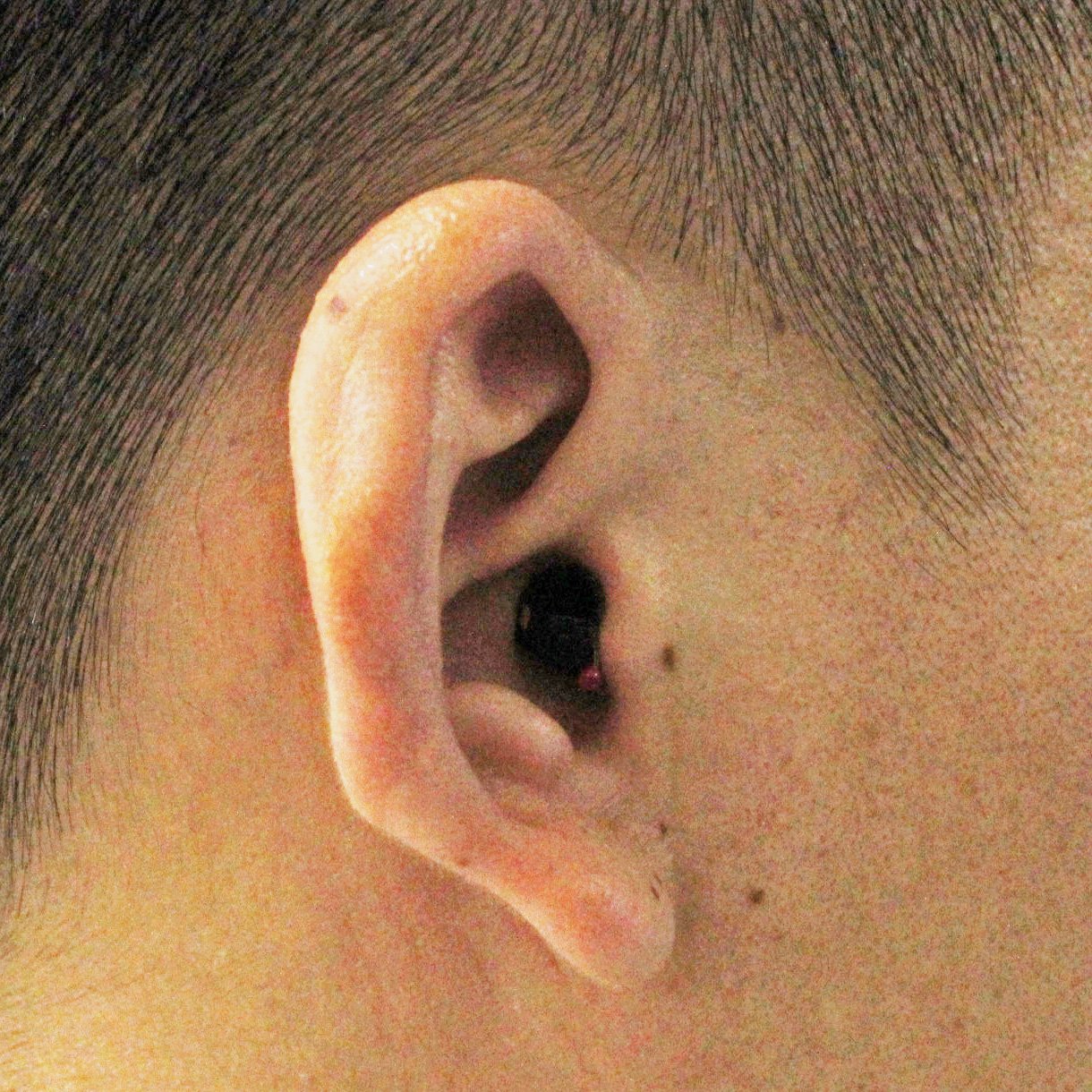 Oem customized noise reduction digital hearing adi for protective safety ear hearing protection shooting
