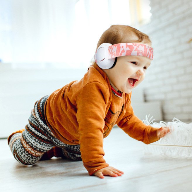 Noise Reduction Safety Earmuffs 25dB Hearing Protection Earmuffs with Adjustable Headband