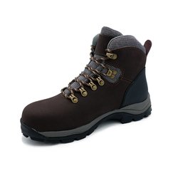Brown1