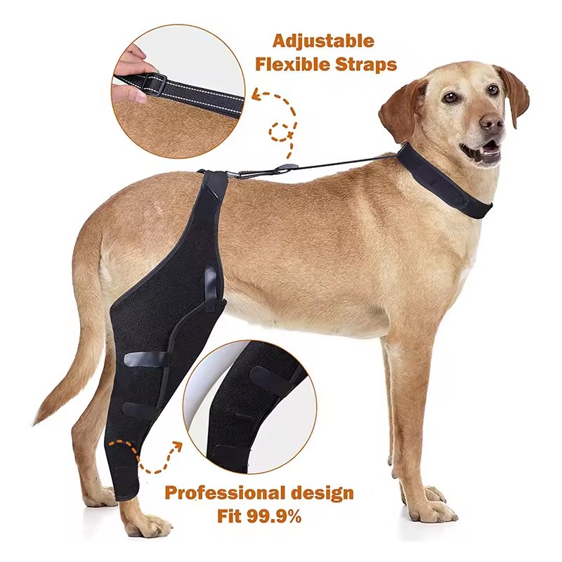 Wholesale Professional Protective Adjustable Neoprene Dog Boots Leg Protector Dog Brace Dog Knee Brace Support