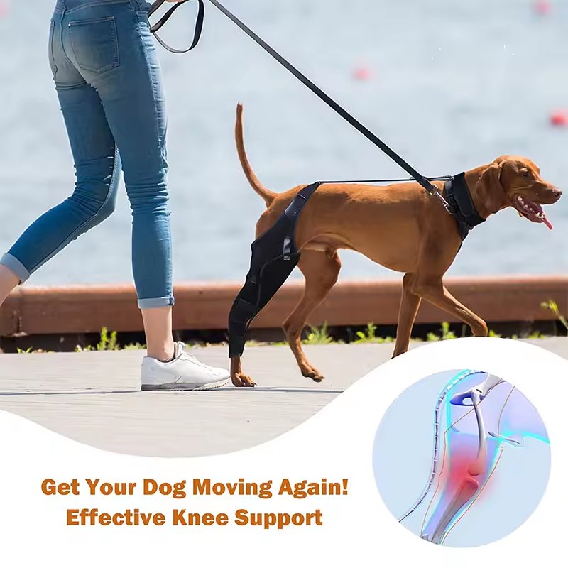 Wholesale Professional Protective Adjustable Neoprene Dog Boots Leg Protector Dog Brace Dog Knee Brace Support