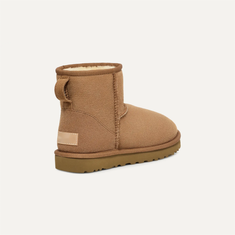 Designer Luxury Outdoor Adult Suede Plush Winter Comfortable Warm Waterproof Women Snow Casual Boots