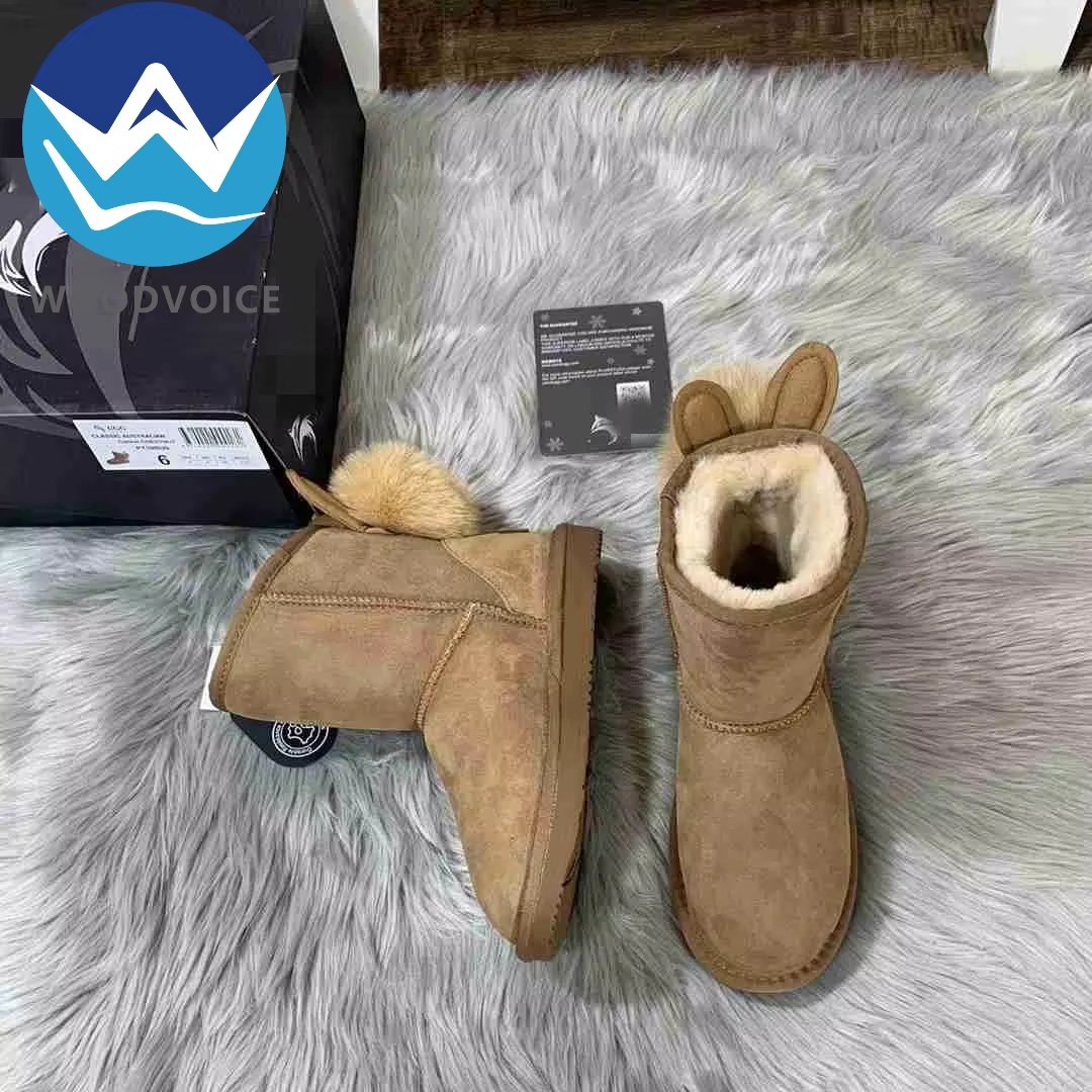 Snow Boots Women Fur One New Warm Mini Cotton Shoes Women Winter Luxury Ladies Designer Fashion Shoes