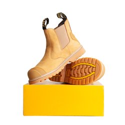 Wheat