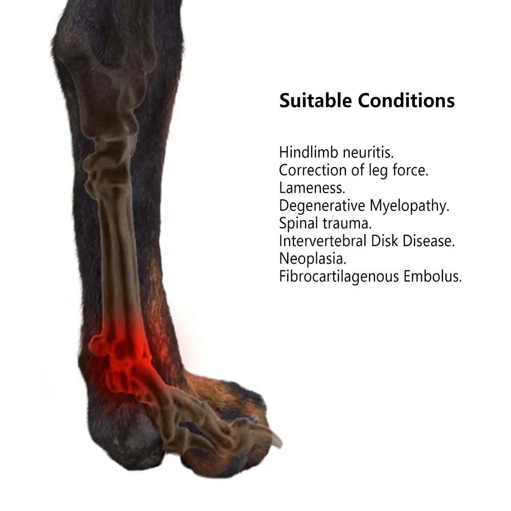 Knuckling Boot Brace for Dogs Dragging Paws | Corrective Dog Shoes to Safely Lift Toes