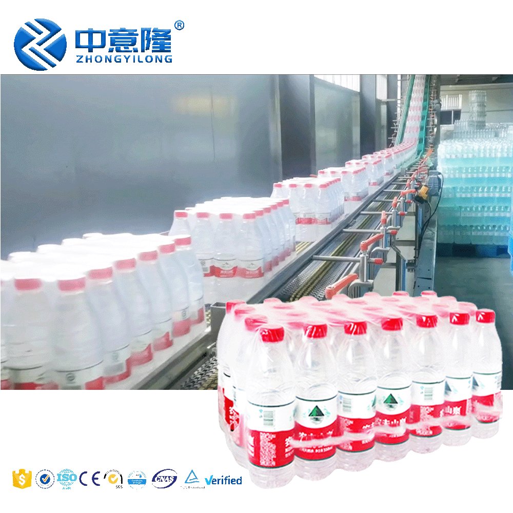 Auto Complete Water Production Line Includes Blowing/Water Treatment/filling/labelling/wrapping Machines to Start Small Business