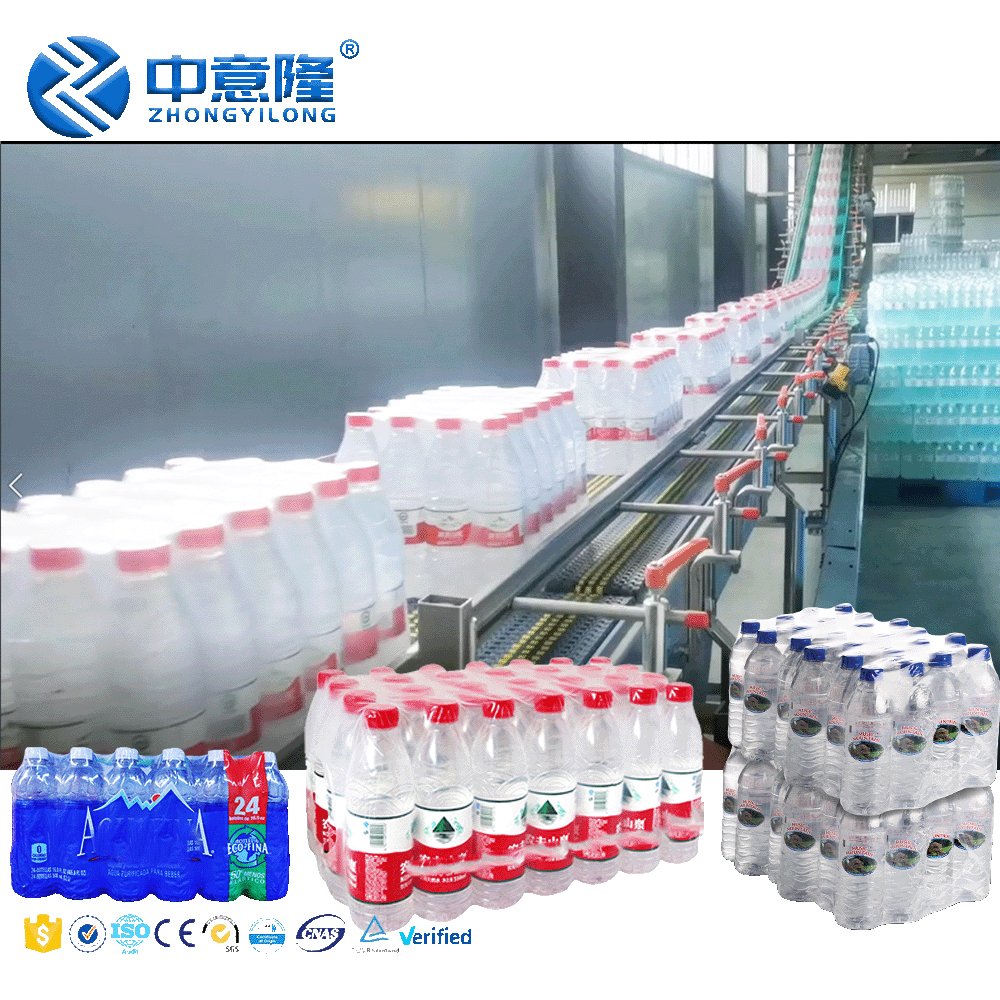 Auto Complete Water Production Line Includes Blowing/Water Treatment/filling/labelling/wrapping Machines to Start Small Business