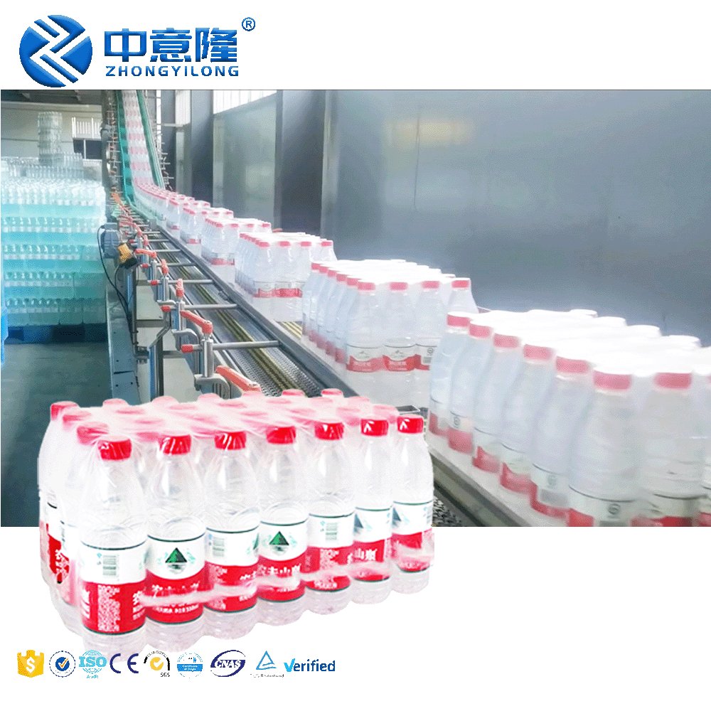Auto Complete Water Production Line Includes Blowing/Water Treatment/filling/labelling/wrapping Machines to Start Small Business