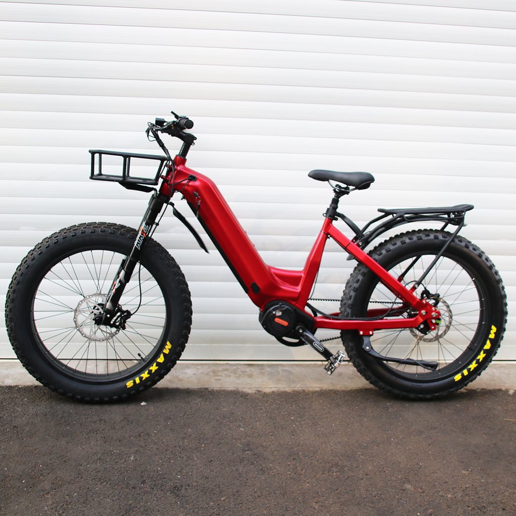 Bafang automatic gear hub 5 speeds electric bike 1000W fat tire ebike M620 mid Gates belt drive electric bicycle