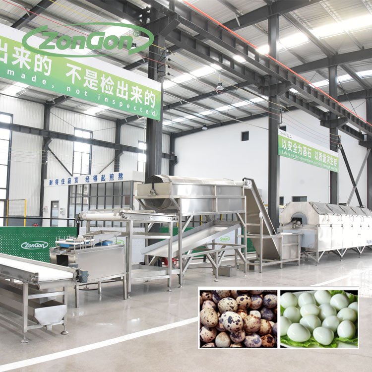 250kg Automatic Quail Egg Shelling Peeling Processing Line
