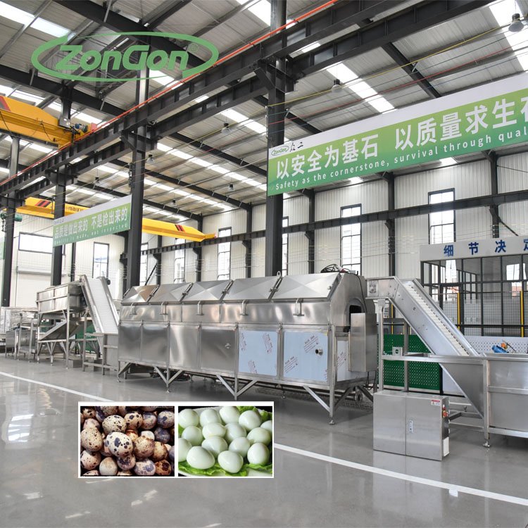 250kg Automatic Quail Egg Shelling Peeling Processing Line