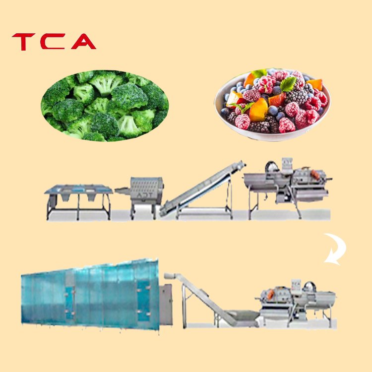 TCA Automatic Vegetable and Fruit IQF Freezing Line Frozen Okra and Tomatoes High Quality Vegetable Production Line