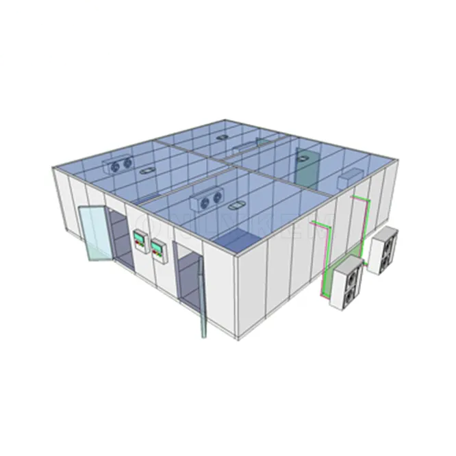 Customized Easy Disassembly Cold Rooms and Freezers Freezing Room Cold Room Refrigeration Unit