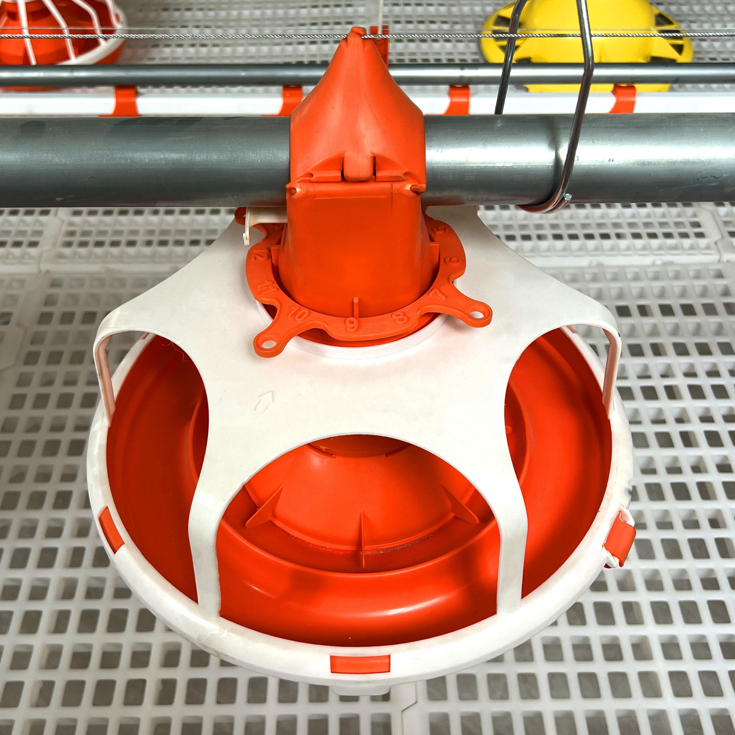 Poultry Farm House Machine Broiler Equipment Chain Feeder Auto Nest System Chicken Breeder Line Trough Auto Nest