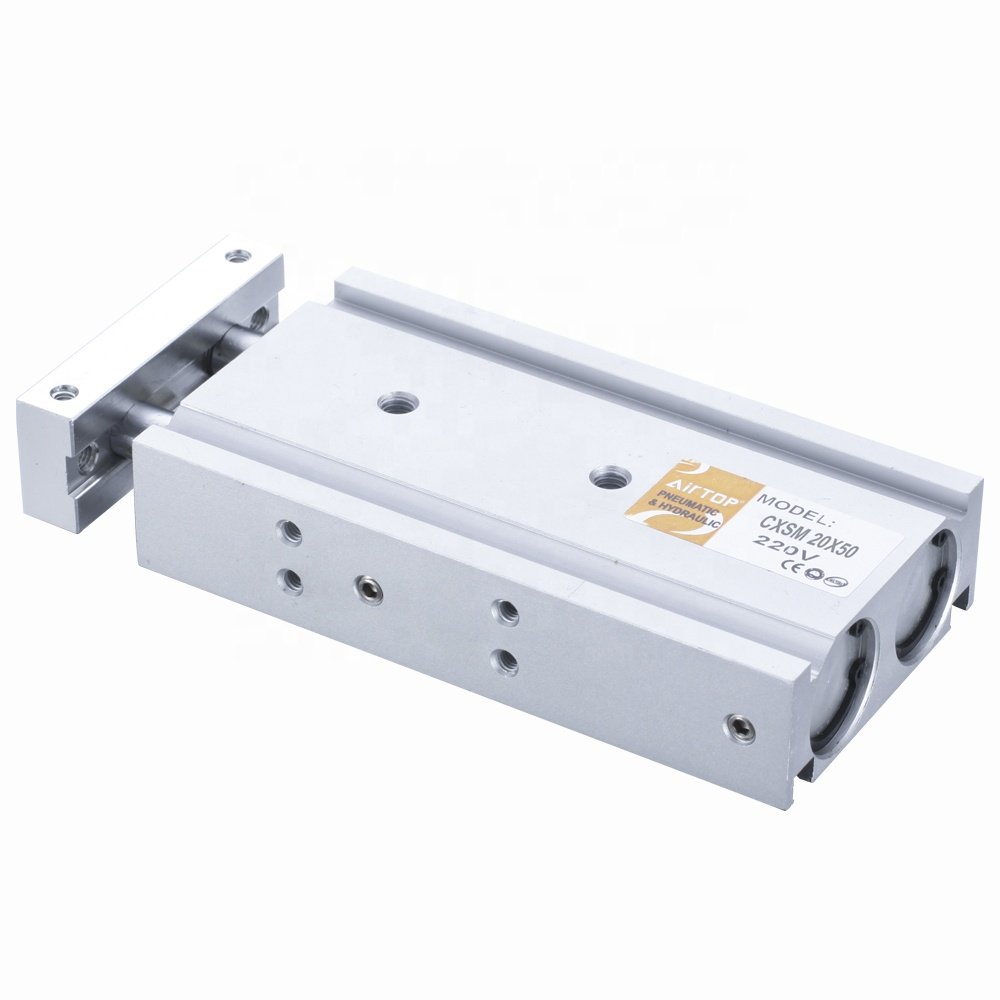 CXS Series Double Shaft Dual Rod Air Cylinder Double Acting With Magnet Type Pneumatic Cylinder