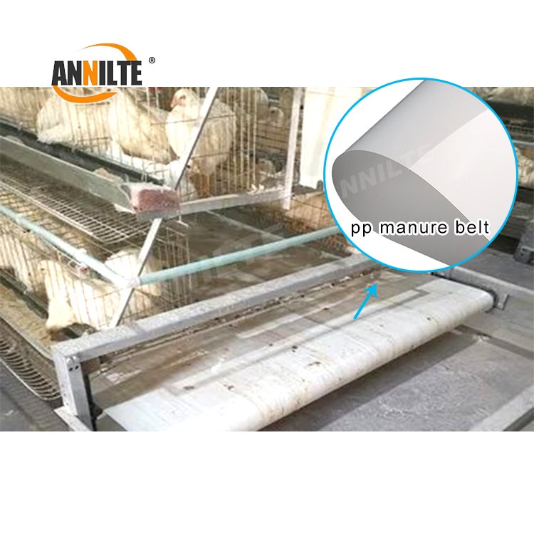 Annilte Complete Poultry Layer Manure Removal Manure Belts pp manure belt Cleaning Conveyor Belt For Chicken