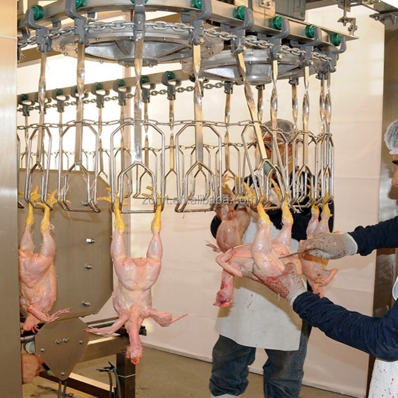Compact Mobile Slaughtering Line for 800 Chickens for Poultry Slaughter in Abattoirs