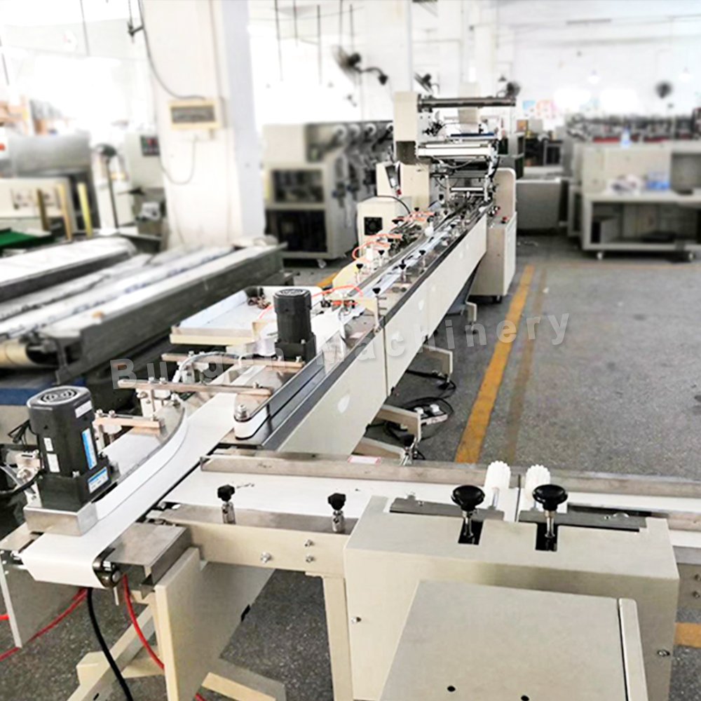 BG Horizontal Biscuit/cookies Packing Machine Auto case Flow Packer Full Automatic Pillow Bag Packing Equipment