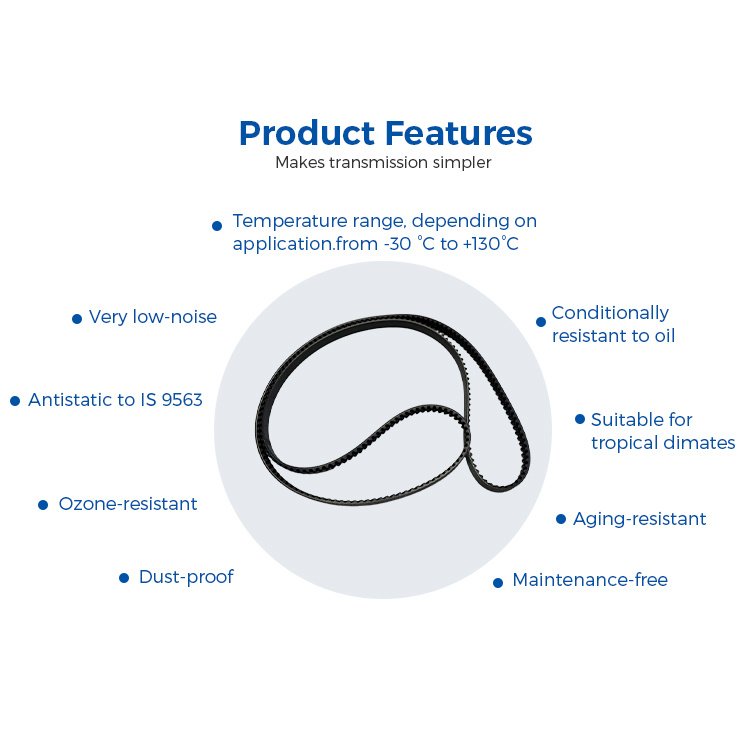 Belt Drive Turntable Belts Y Series Versatile Applications Herringbone Belt