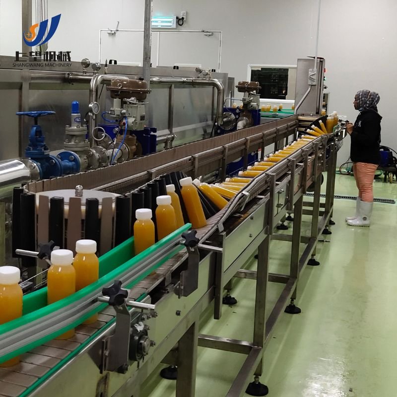 Small Scale Fruit Juice Processing Equipment
