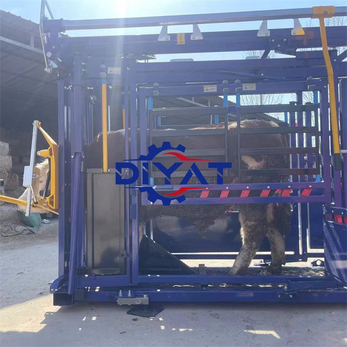 Cheap Cattle Vet Crush Heavy Duty Cattle Crush Livestock Head Cattle Handling Squeeze Machine