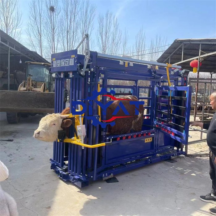 Cheap Cattle Vet Crush Heavy Duty Cattle Crush Livestock Head Cattle Handling Squeeze Machine