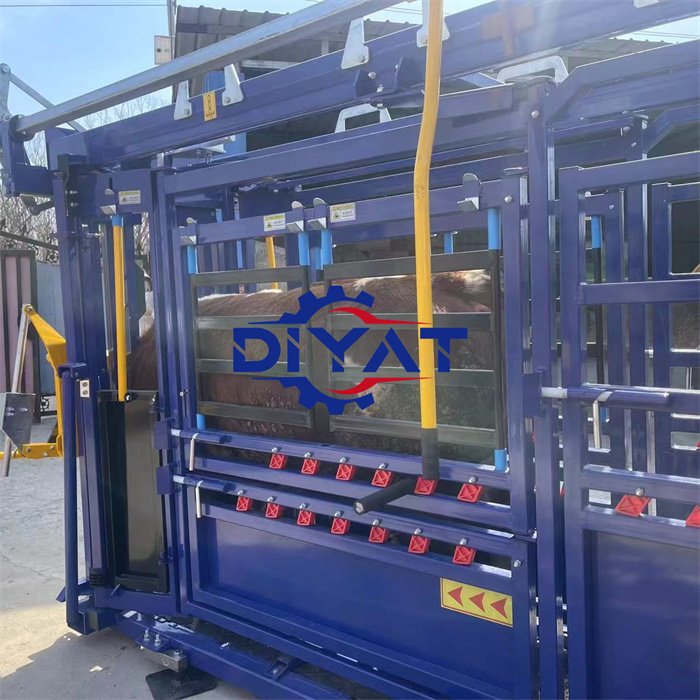 Cheap Cattle Vet Crush Heavy Duty Cattle Crush Livestock Head Cattle Handling Squeeze Machine