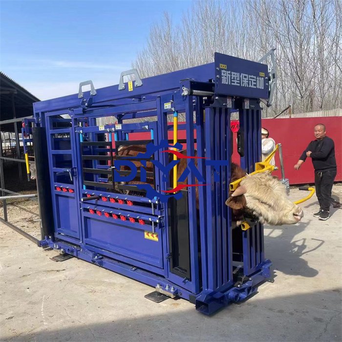 Cheap Cattle Vet Crush Heavy Duty Cattle Crush Livestock Head Cattle Handling Squeeze Machine