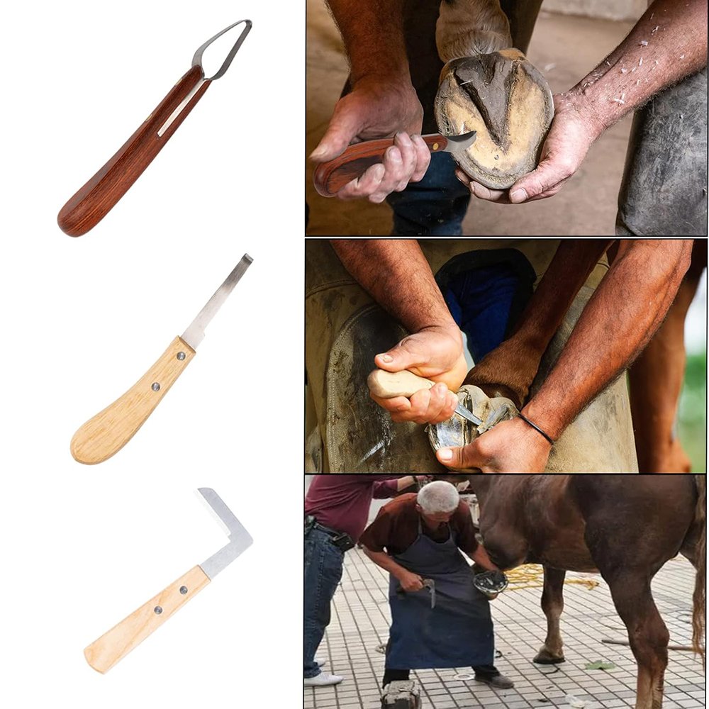 Professional Stainless Steel Hoofs Ventricles Farrier Nippers Adjustable Hoof Rasp Files Handles Horse Caring Instruments Sets
