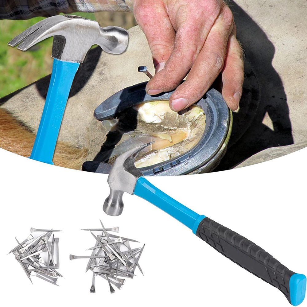 Professional Stainless Steel Hoofs Ventricles Farrier Nippers Adjustable Hoof Rasp Files Handles Horse Caring Instruments Sets