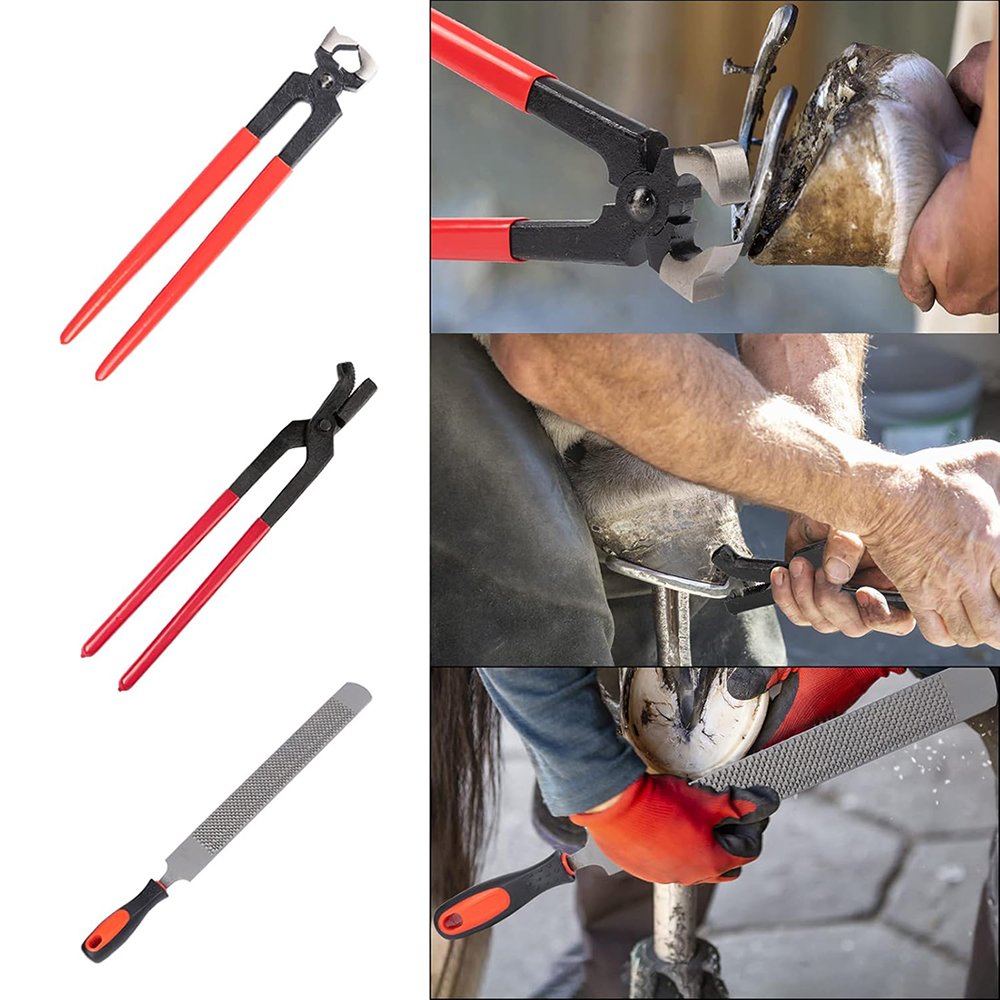 Professional Stainless Steel Hoofs Ventricles Farrier Nippers Adjustable Hoof Rasp Files Handles Horse Caring Instruments Sets