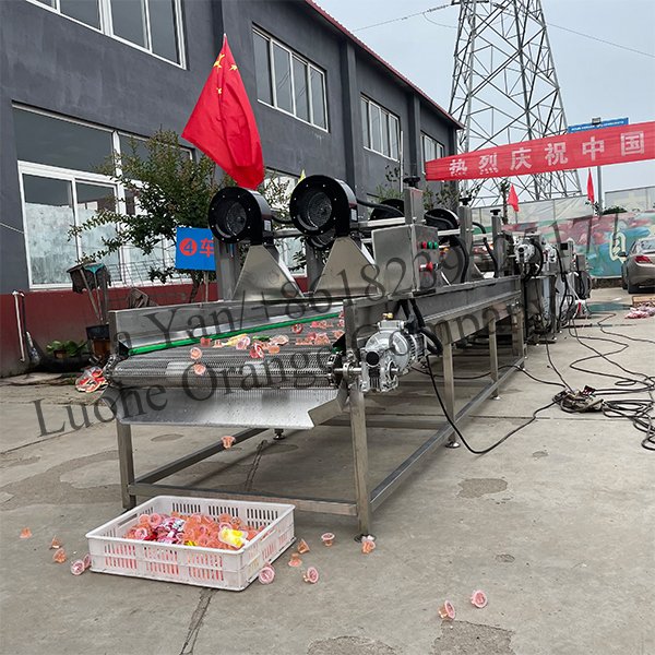 4/5/6meters Long Automatic Pasteurizer Water Bath Bagged Bottle Food Pasteurization Machine/Tomato Paste Bag Pasteurizer