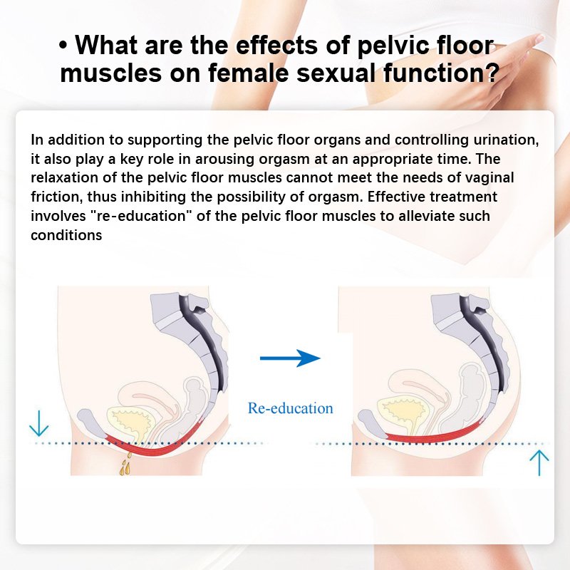 Pelvic Floor Repair Equipment Ems Pelvic Floor Strengthening Electronic Pelvic Floor Stimulator Men