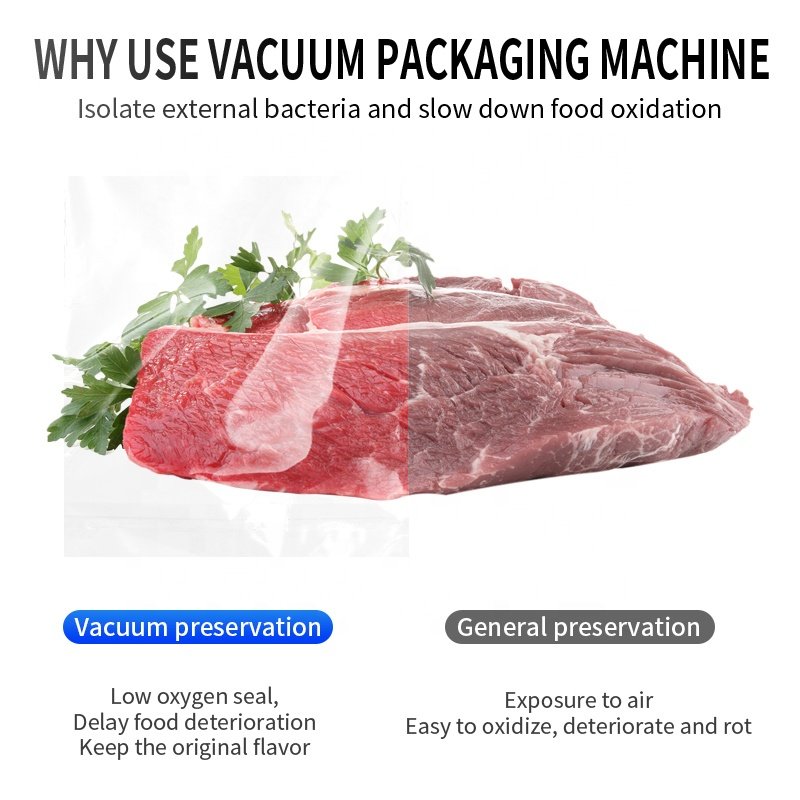 Automatic Food Rice Grain Vegetable Beef Fish Vacuum Machine Single Chamber Sealer Sealing Machine