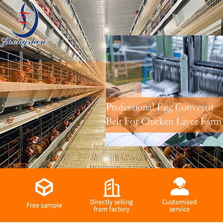 Woven Egg Conveyor Belt Collecting Egg Belt For H Type Battery Layer Hen Cage
