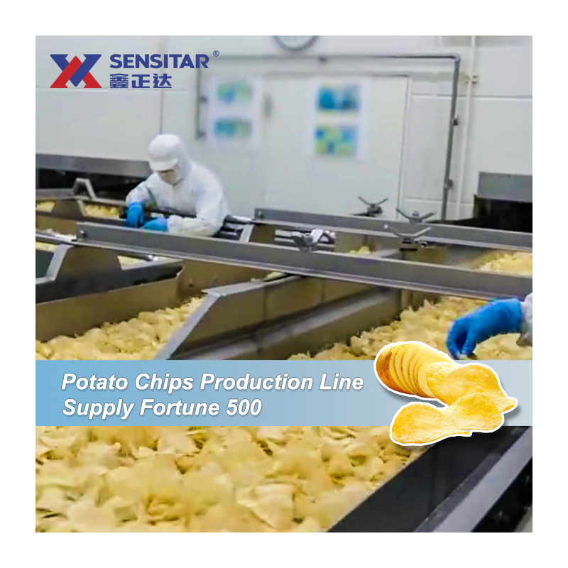 Automatic Frying Machine Potato Chips Production Line Potato Chips Fryer Machine