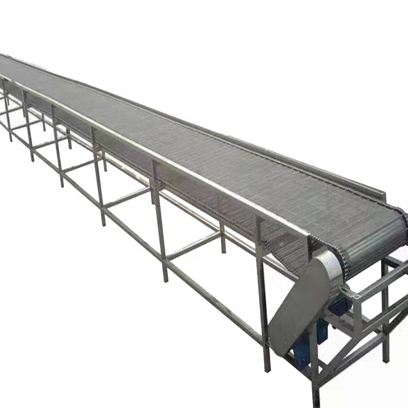 Food Processing Industrial Ozone Sterilization Air Bubble Fruit/Vegetable Washing Wire Mesh Conveyor
