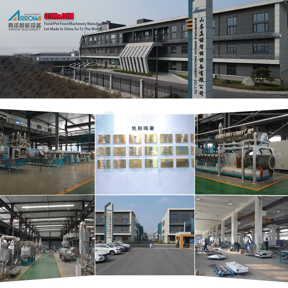 Arrow Machinery Full Automatic Rice Slanty Chips Puffed Mini Puff Food Extruder Making Machine