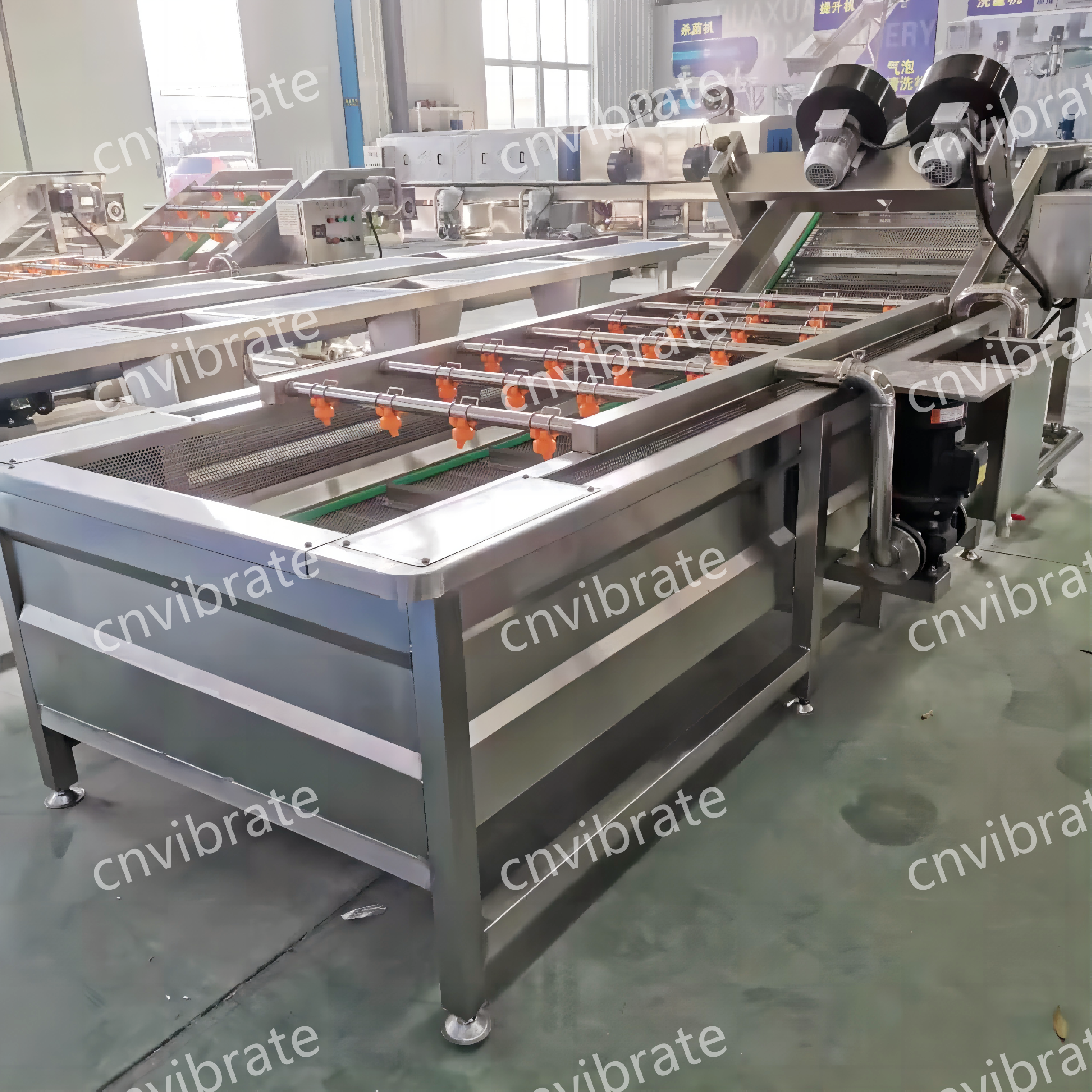 VBJX Industrial Auto Vortex Brush and Spray Leaf Fresh Vegetable Kiwifruit Dry Washing Cleaning Machine Production Line