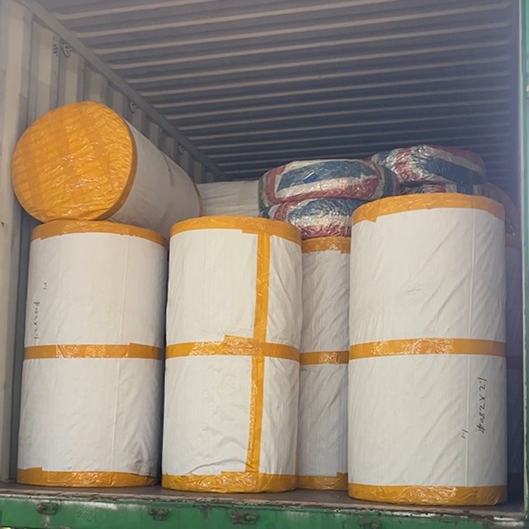 Annilte product manufacture poultry equipment chicken farming chicken manure conveyor belt