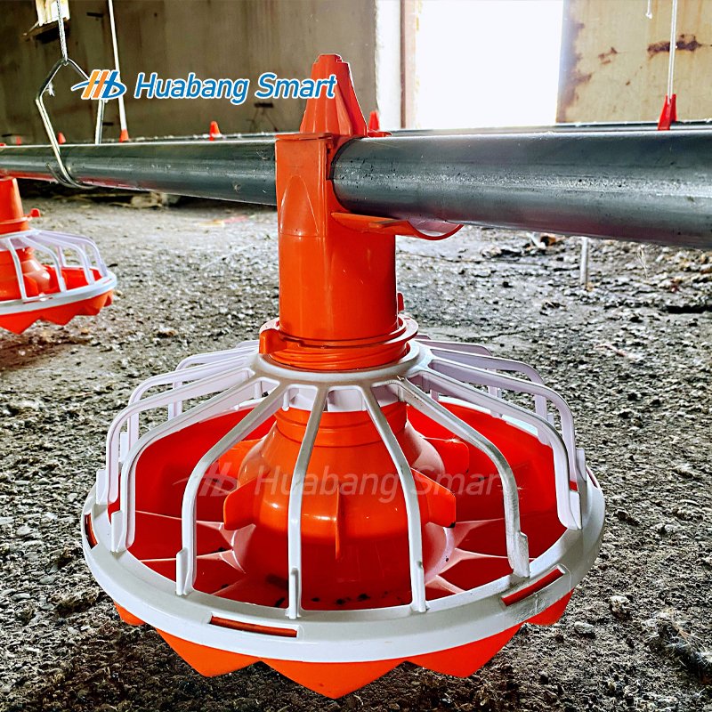 Custom Designed Automatic Chicken Feeder Line Poultry Broiler Feed Production Livestock Management Animal Husbandry Equipment