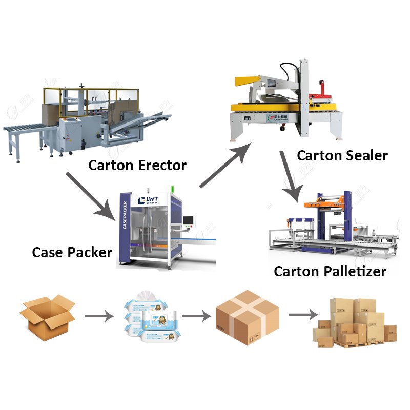 Leadworld Beer Confectionery Shachet Seed Sensor Line Food Machinery Equipment Production Packaging Processing Line