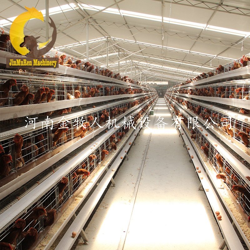 Jinmuren Auto Equipment Chicken Farm Building for Poultry House