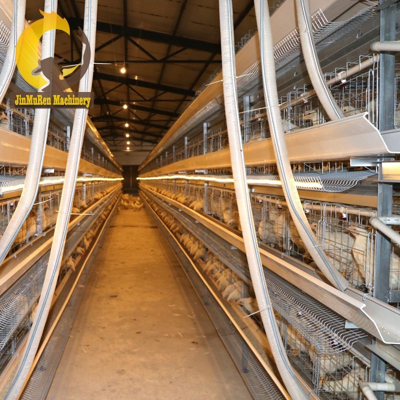 Jinmuren Auto Equipment Chicken Farm Building for Poultry House