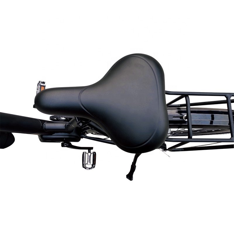 New arrival M420 mid drive motor Nexus internal 8 speed electric bike with belt transmission