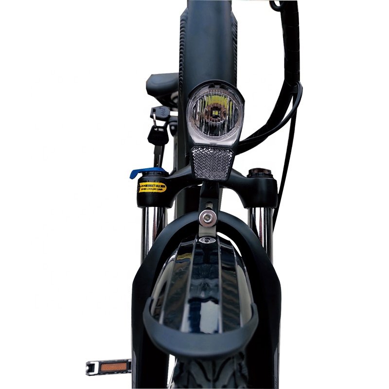 New arrival M420 mid drive motor Nexus internal 8 speed electric bike with belt transmission
