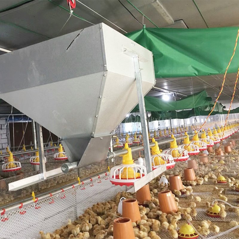 Animal Feeder Nipple Drinking Water Modern Design Poultry Farming Equipment Chicken Coop Feeder and Drinker
