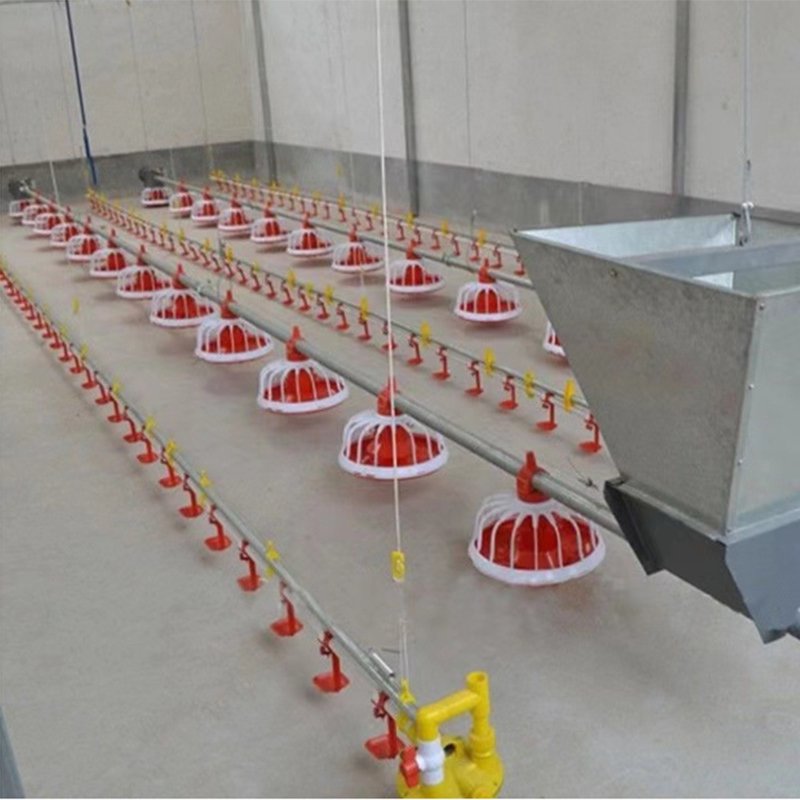 Animal Feeder Nipple Drinking Water Modern Design Poultry Farming Equipment Chicken Coop Feeder and Drinker